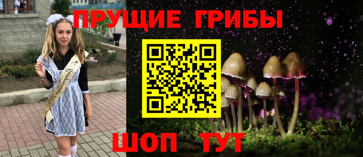 Заводоуковск  Псилоцибиновые грибы GOLDEN TEACHER  Вход с VPN 