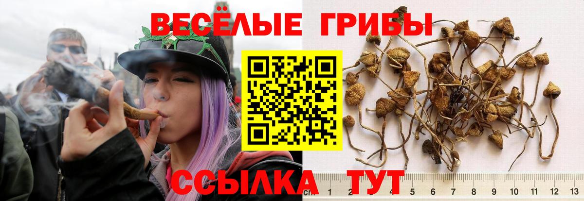 Альфа ПВП Заводоуковск